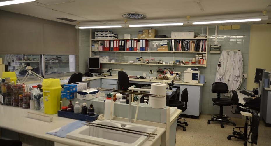 Servicio Microbiología H. Bellvitge